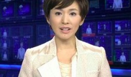 主持人爆料陈亚楠视频,主持人爆料背后的惊人真相